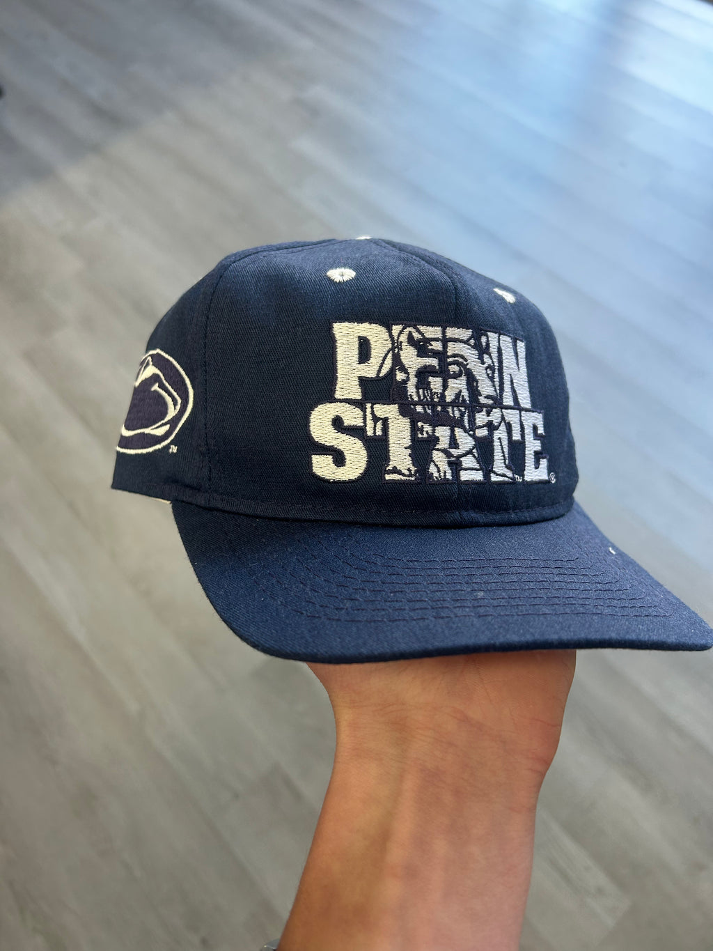 Vintage Navy Blue Penn State Lions