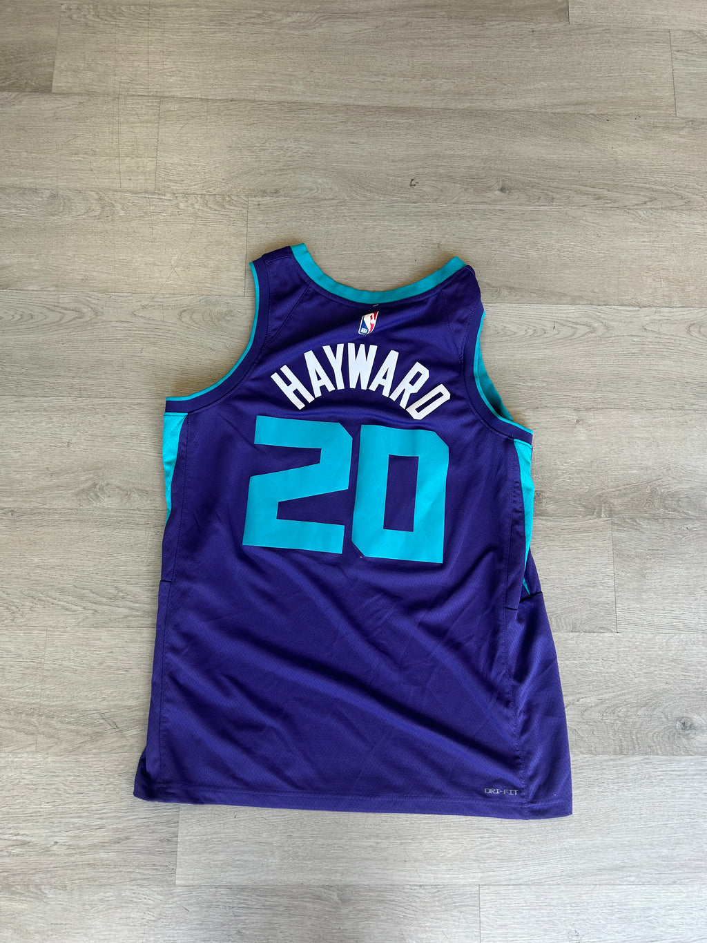 Vintage NBA Charlotte Hornets Gordon Hayward Jersey