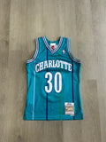 Mitchell & Ness Charlotte Hornets Dell Curry 1992-93 Road Jersey
