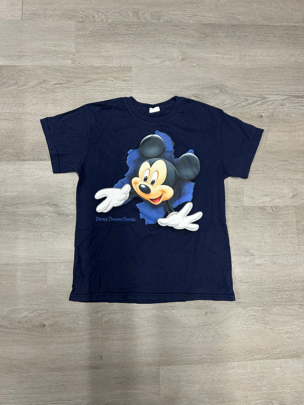 Disney Dreams Florida Breakthrough Tee