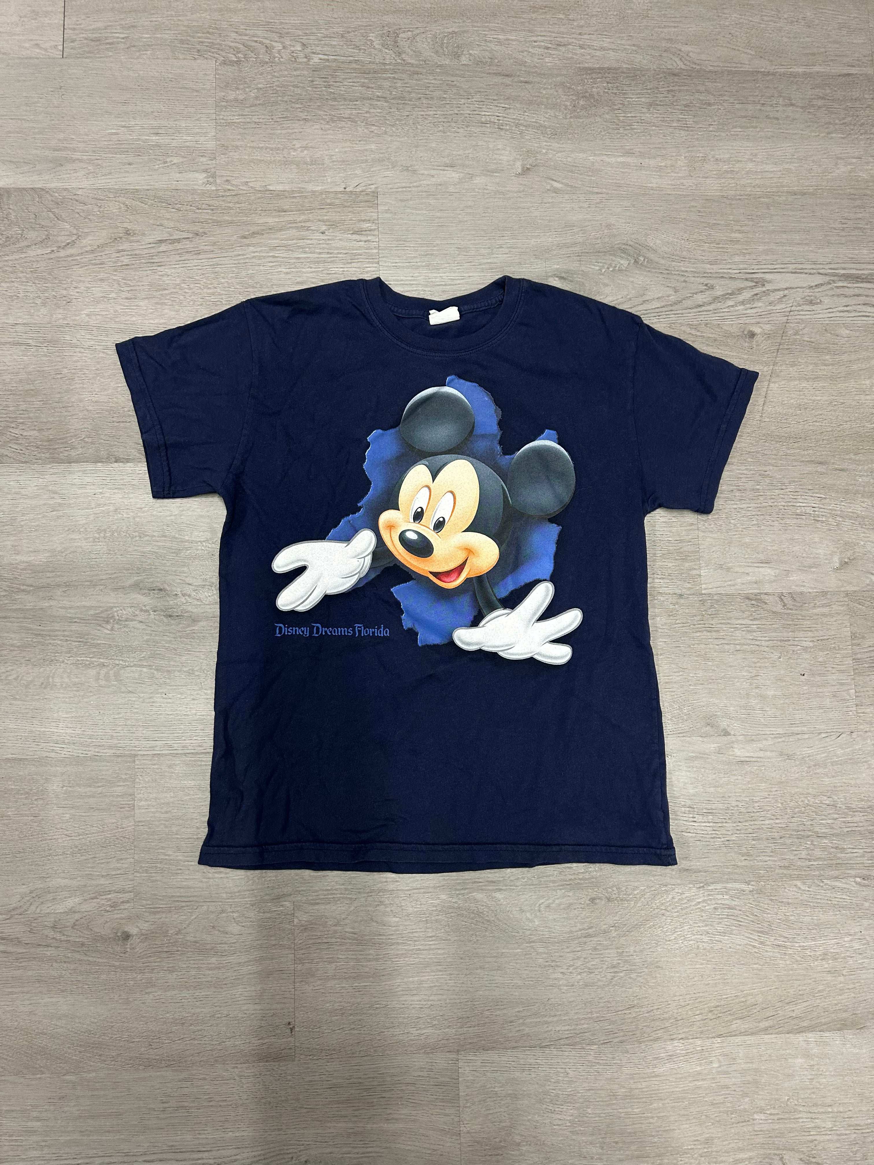 Disney Dreams Florida Breakthrough Tee