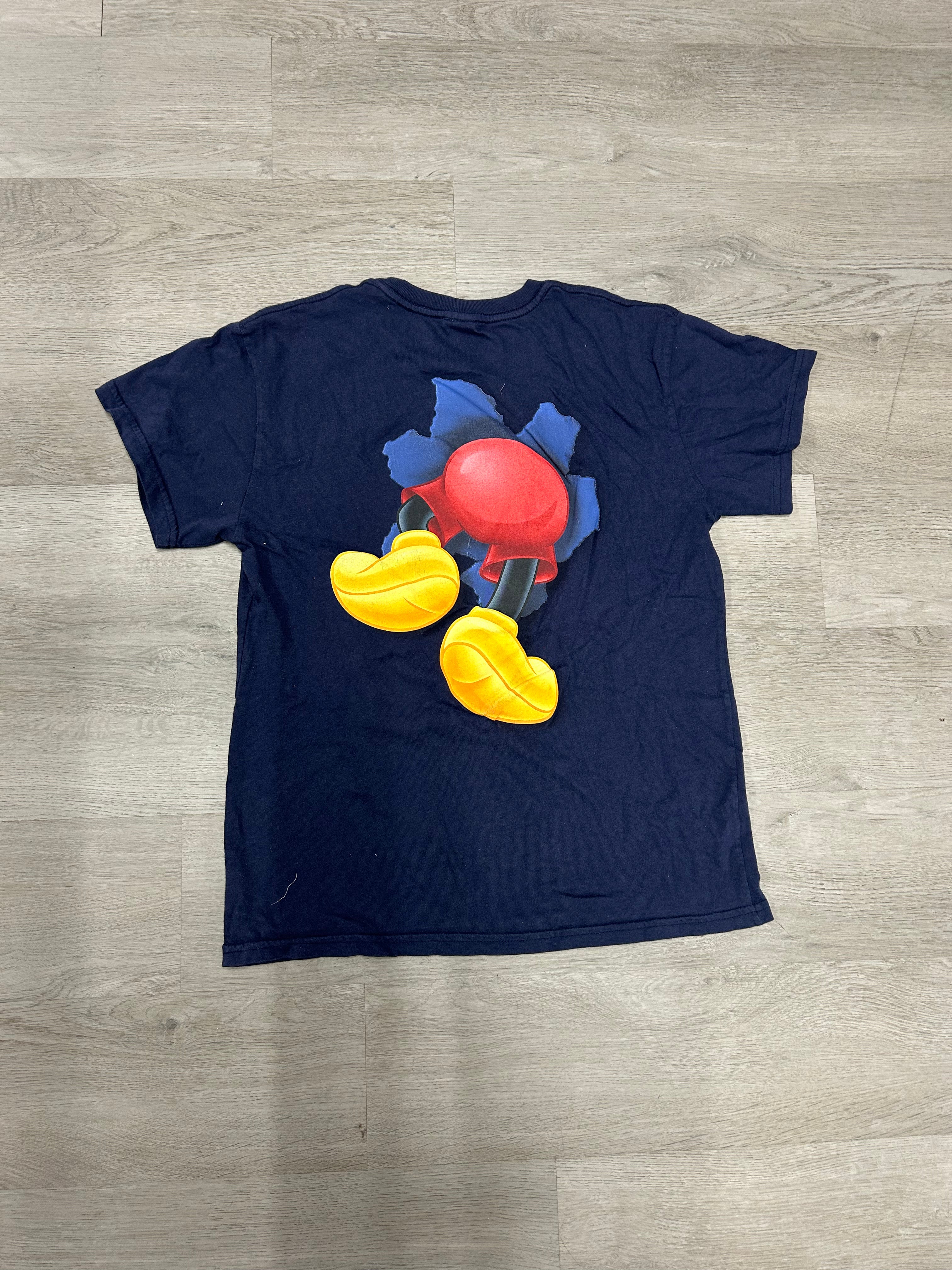 Disney Dreams Florida Breakthrough Tee
