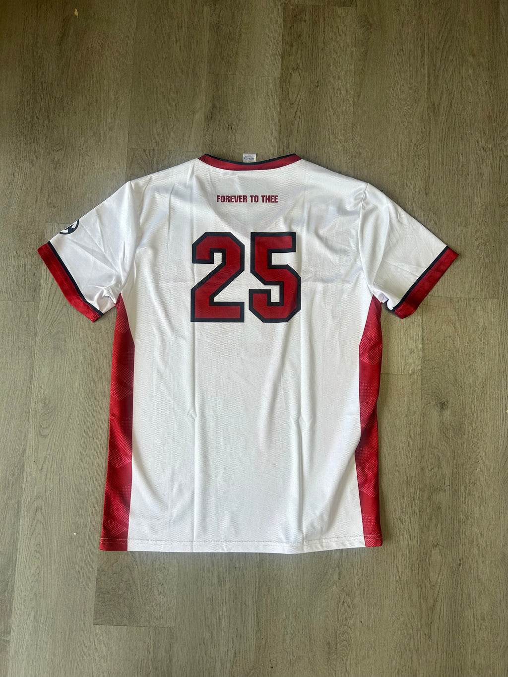 Under Armour South Carolina Gamecocks Soccer Jersey