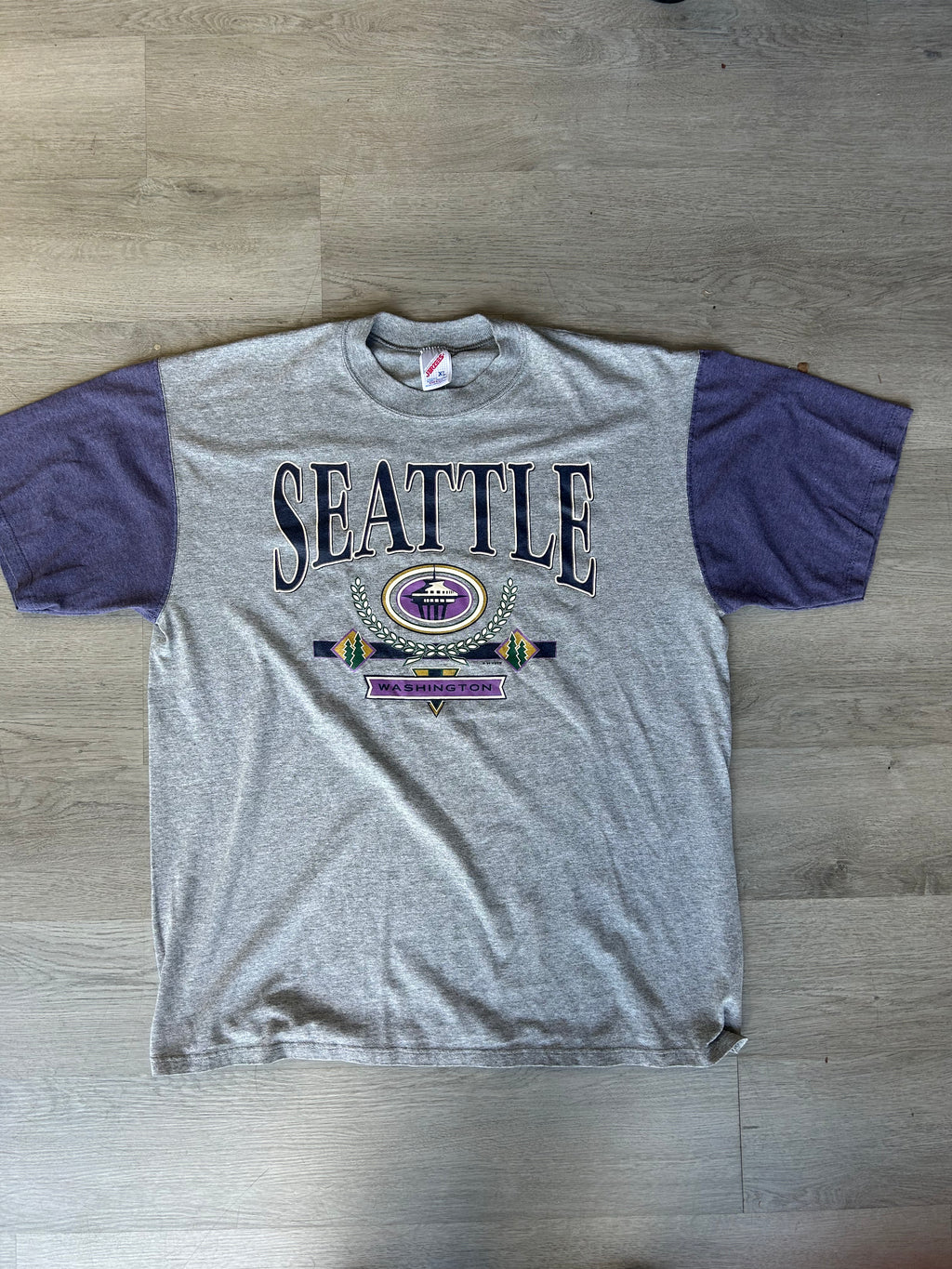 Vintage Grey and Purple Seattle Washington Tee